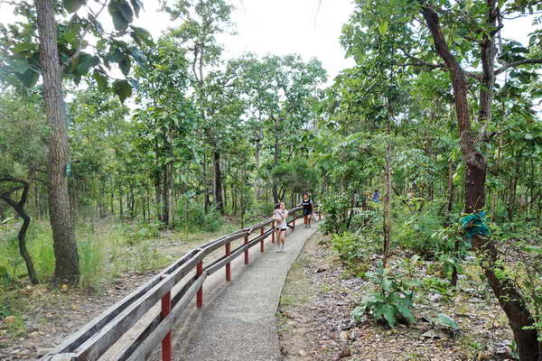 pai canyon, attraction in pai