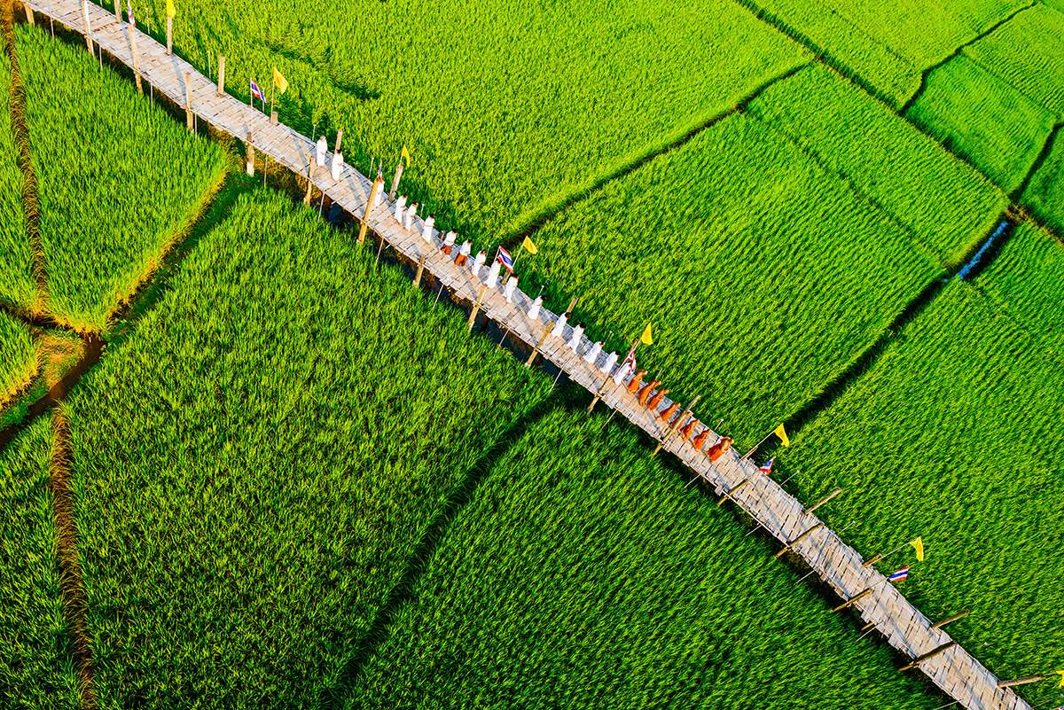 su tong pae bridge, su tong pae, su tong pea bridge, su tong pea