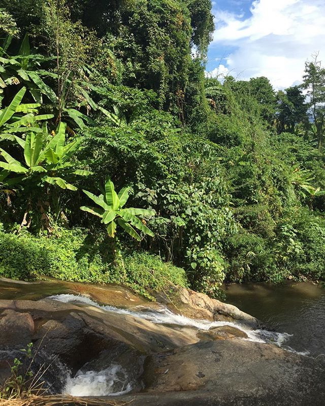 mo paeng waterfall, mor pang waterfall, morpang waterfall, mor paeng waterfall