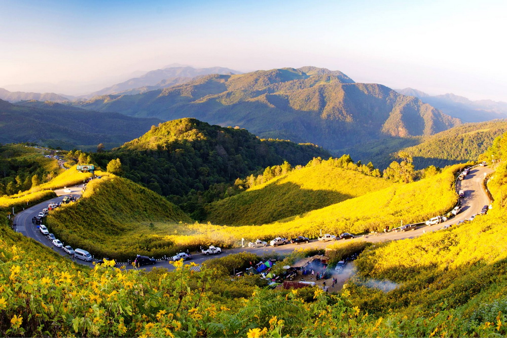 bua tong blossom festival, bua tong festival, bua tong blossom festival in mae hong son, bua tong blossom festival at khum yuam, bua tong festival in mae hong son, bua tong festival at khun yuam