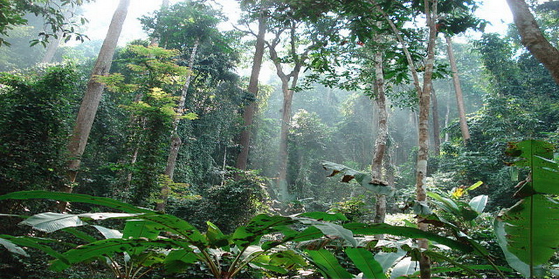 mae surin waterfall national park, mae surin waterfall national park in mae hong son, namtok mae surin national park, namtok mae surin national park in mae hong son, national park in mae hong son