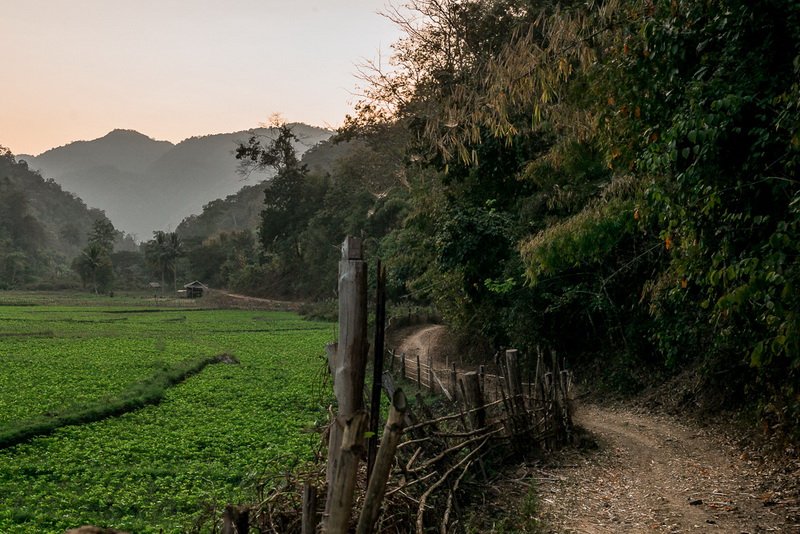 salawin national park, salawin national park in mae hong son, national park in mae hong son