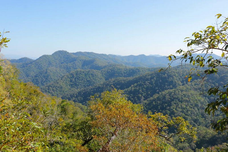 salawin national park, salawin national park in mae hong son, national park in mae hong son