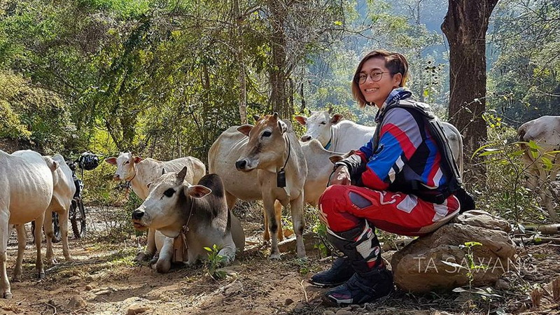 salawin national park, salawin national park in mae hong son, national park in mae hong son