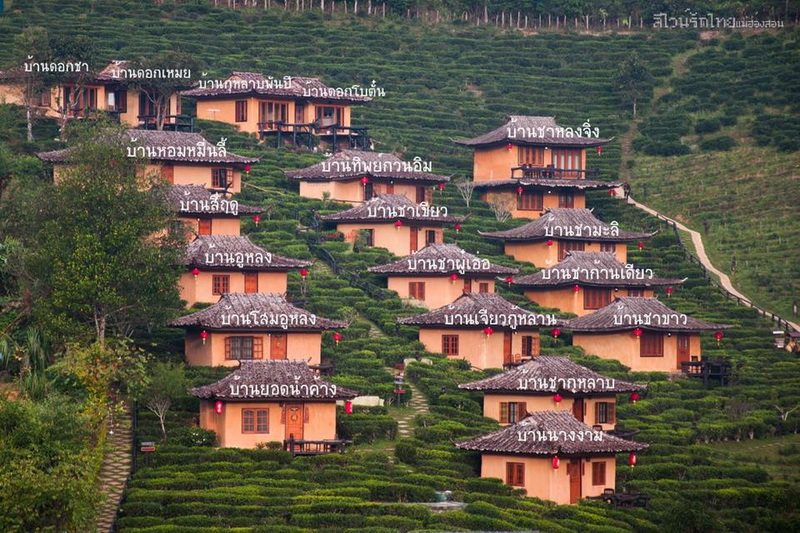 ban rak thai, baan rak thai, ban rak thai mae hong son, baan rak thai mae hong son