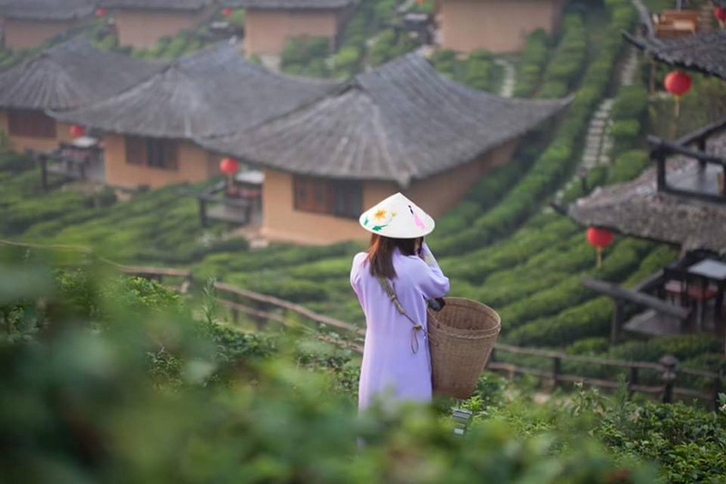 ban rak thai, baan rak thai, ban rak thai mae hong son, baan rak thai mae hong son