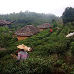 ban rak thai, baan rak thai, ban rak thai mae hong son, baan rak thai mae hong son