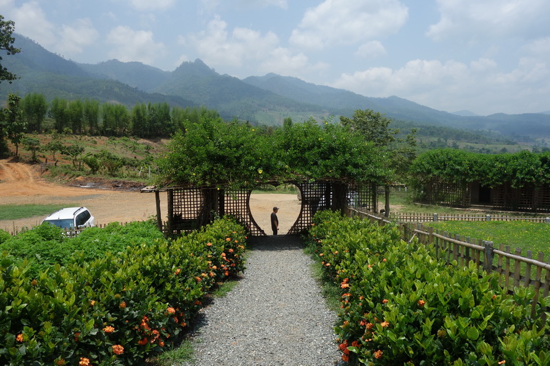 yun lai viewpoint, mon yun lai, yun lai in pai