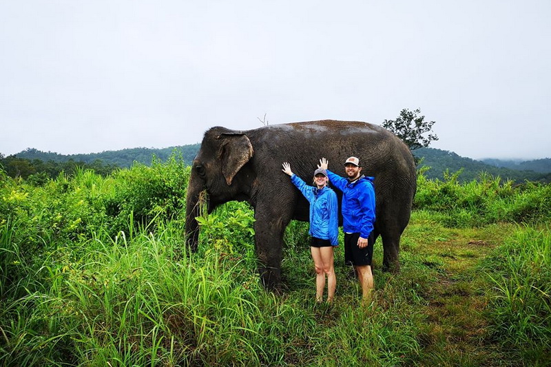 thom pai elephant camp, pai elephant camp, thom elephant camp