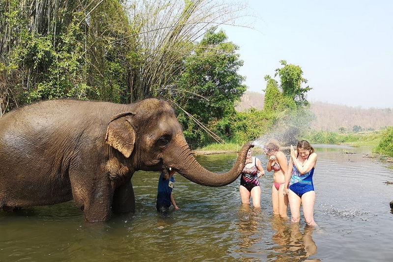 thom pai elephant camp, pai elephant camp, thom elephant camp