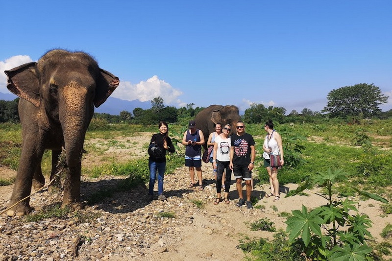 thom pai elephant camp, pai elephant camp, thom elephant camp