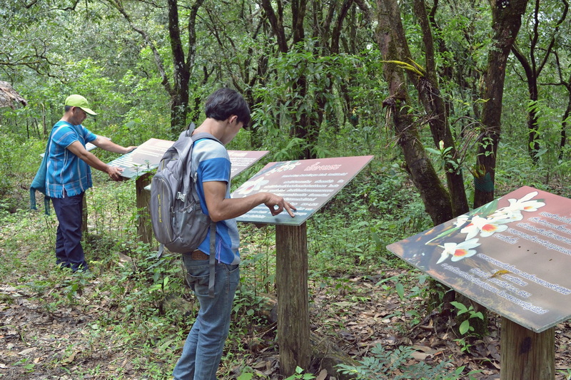 ban huai hee, ban huay hee, baan huai hee, baan huay hee, huay hee village, huai hee village, ban huai hi, ban huay hi, baan huai hi, baan huay hi, huay hi village, huai hi village