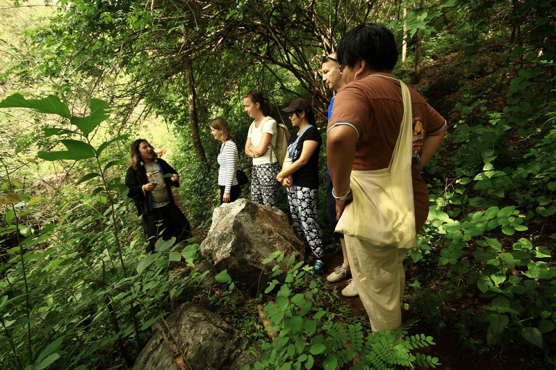 trekking at ban Jabo, ban Jabo day hike, ban Jabo trekking, ban Jabo adventure trek, hiking at ban Jabo, ban Jabo day trek, ban Jabo hike, ban Jabo trek