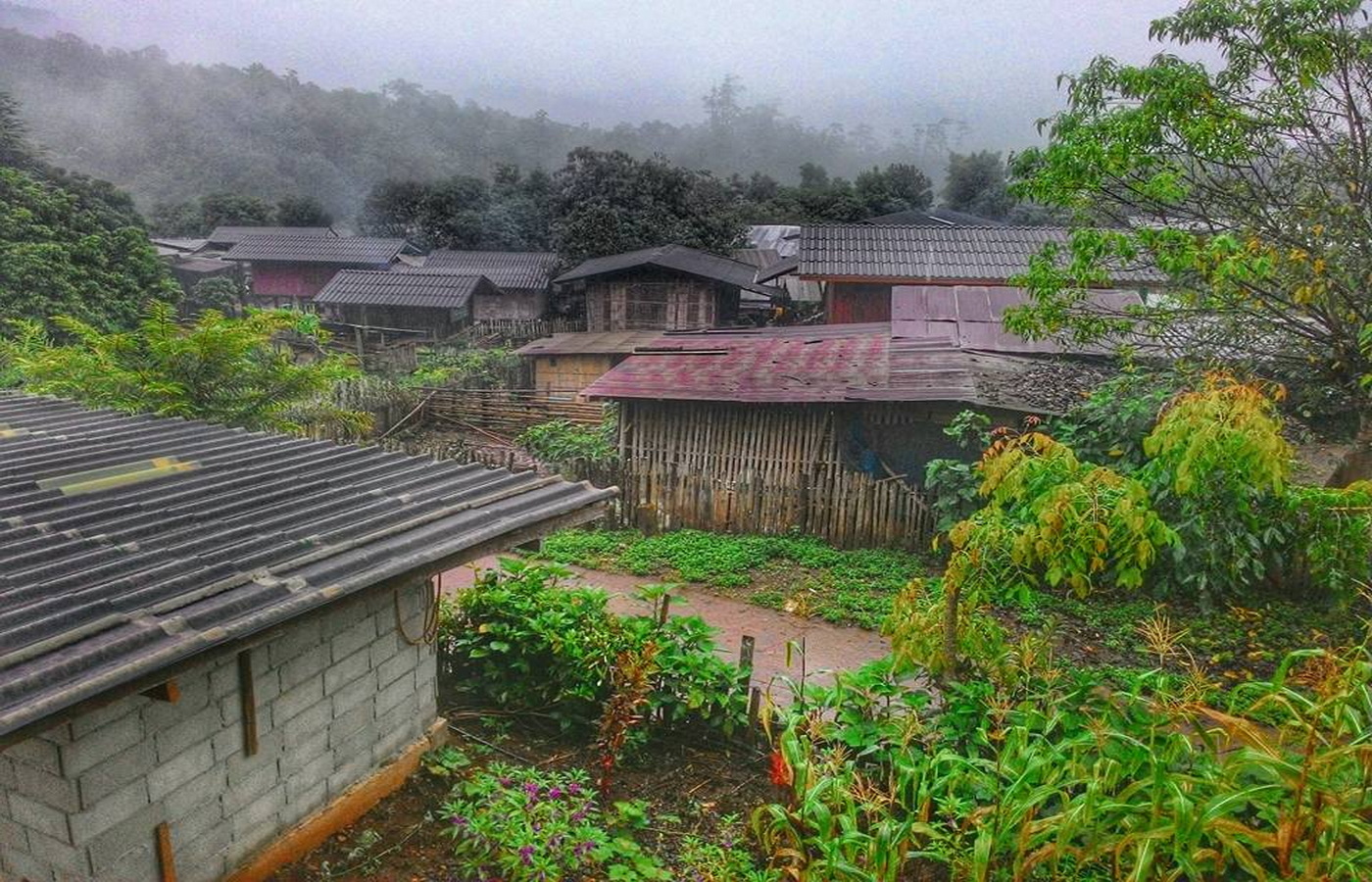 ban pha mon, ban pha mon village, pha mon village, ban pha mon mae hong son, ban phamon, ban pha mon mapha, ban huai pha mon, huai phamon, phamon village