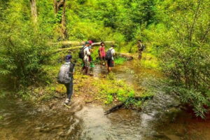 ban pha mon, ban pha mon village, pha mon village, ban pha mon mae hong son, ban phamon, ban pha mon mapha, ban huai pha mon, huai phamon, phamon village