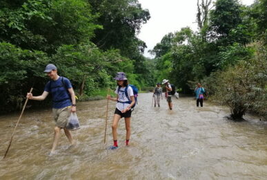 ban muang pam, ban muang pam village, muang pam village, ban muang pam mae hong son, ban muangpam, ban muang pam pang mapha, baan muang pam, ban muang paem
