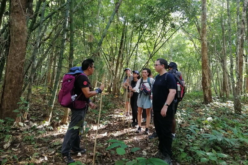 ban muang pam, ban muang pam village, muang pam village, ban muang pam mae hong son, ban muangpam, ban muang pam pang mapha, baan muang pam, ban muang paem
