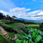 huay nam dung national park, huay nam dang national park, huai nam dang, huay nam dang