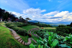 huay nam dung national park, huay nam dang national park, huai nam dang, huay nam dang