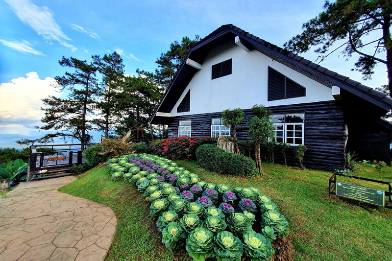 huay nam dung national park, huay nam dang national park, huai nam dang, huay nam dang