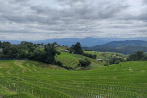 rice terraces ban pa bong piang, ban pa bong piang, mae jam, mae chaem, mae chaem district, mae jam district